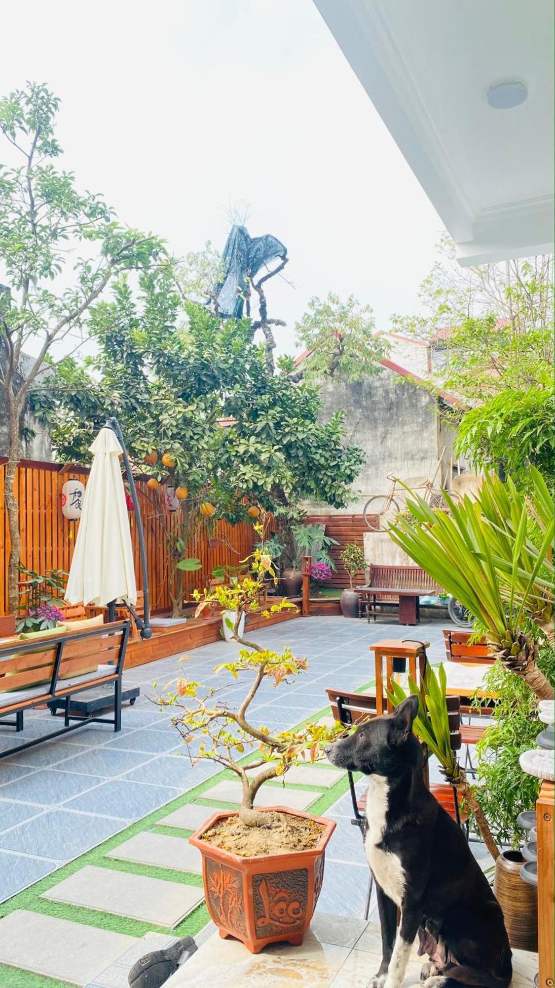 Ohayo Tam Coc Homestay Ninh Binh Exterior photo